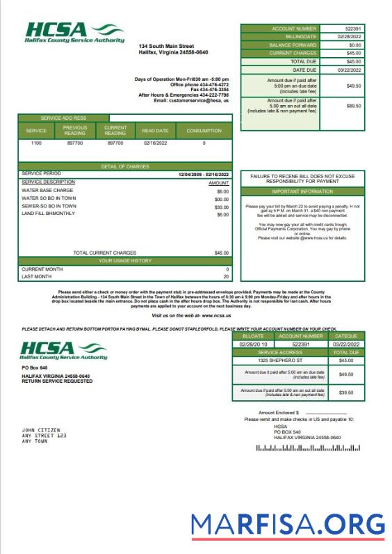 Realistic USA Virginia HCSA utility bill template in Word and PDF format